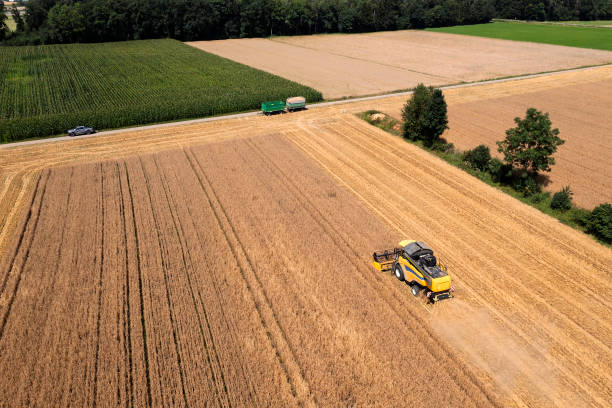 istock Combine harvester in field from above 2181937128