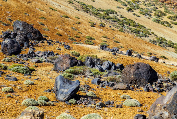 Martian landscape near Teide volcano, Tenerife island