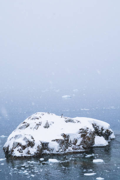 Deception Island is a sunken volcano, whose caldera forms one of the best anchorages in the Antarctic. It's one of the only places on the planet where ships can sail directly into the center of a submerged caldera.