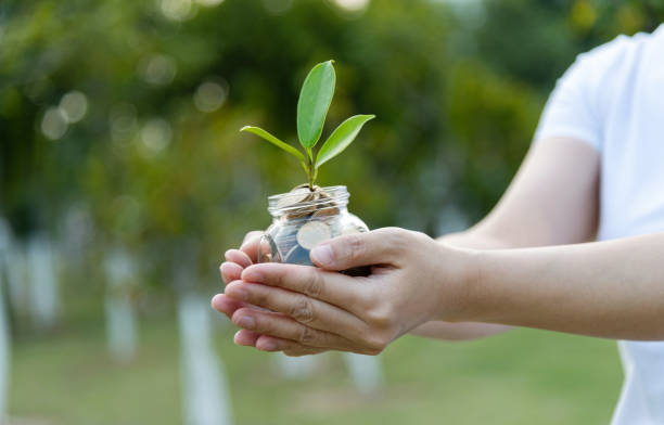 istock Woman hands holing a jar with coins and plant 2181945236