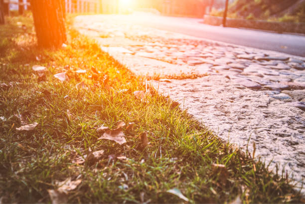 A shallow depth of field image showing fresh green grass and moss creeping along the edge of an old asphalt path. The natural growth contrasts with the dark, textured pavement, evoking a peaceful mood and the quiet persistence of nature.