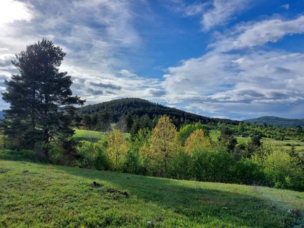 istock countryside landscape with lush green fields, trees, and rolling hills 2181947630