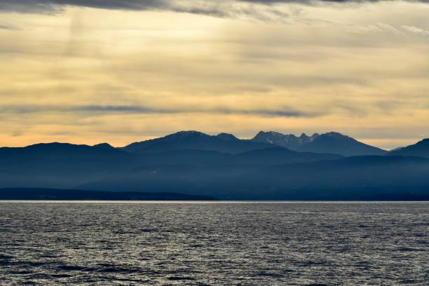 istock Sunset on the Puget Sound 2181950481