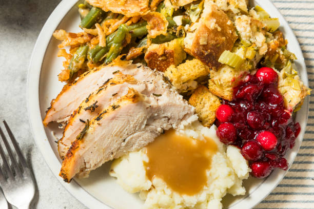 istock Thanksgiving Turkey Dinner Plate with Potatoes 2181951123