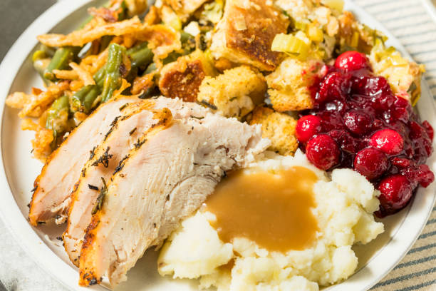 istock Thanksgiving Turkey Dinner Plate with Potatoes 2181951180