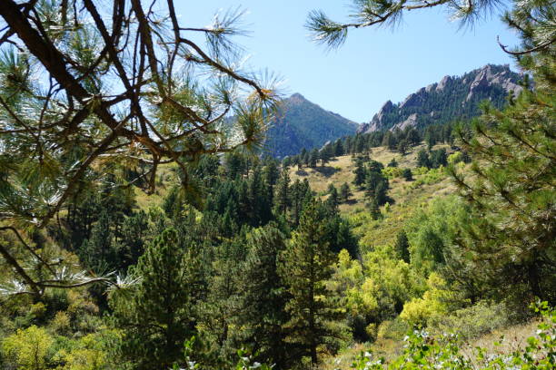 istock Skunk Canyon Trail in Boulder Colorado 2181951735