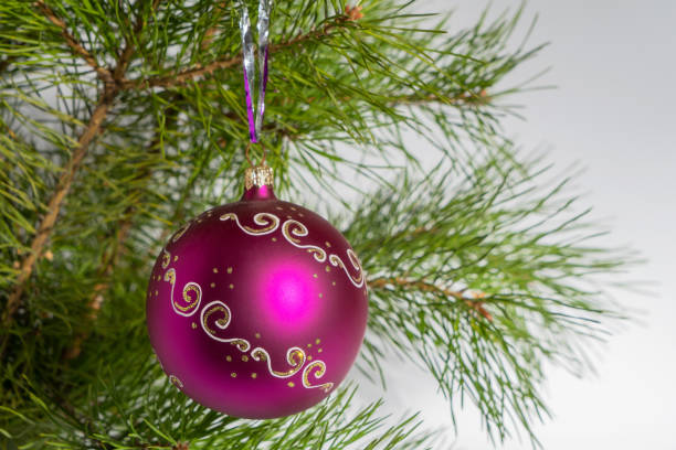Pink Christmas glass ball hangs on pine tree on white background. Copy space for text.
