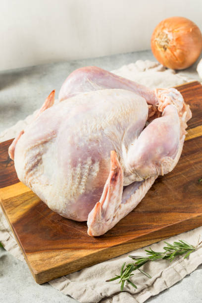 istock Raw Whole Thanksgiving Turkey 2181952002