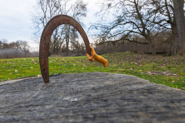 An old sickle for mowing grass is stuck in a stump