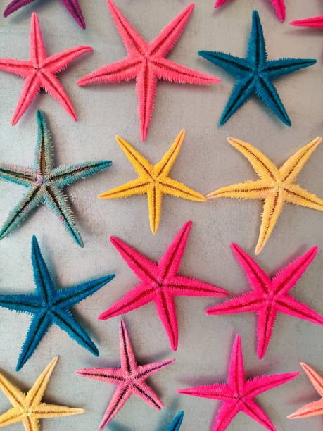 istock a composition of colored starfish on a gray background 2181963550
