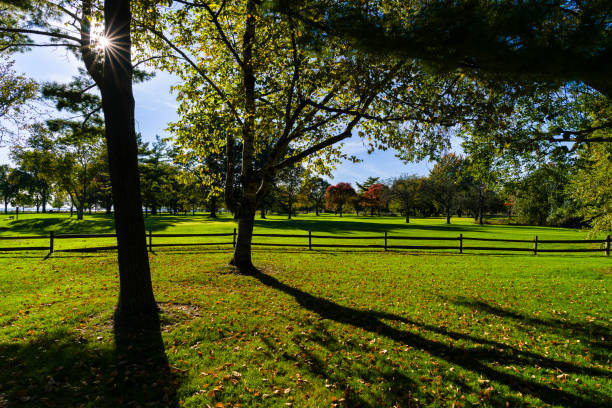 istock Green Grass and Old Growth Trees in Nature Park 2181966996