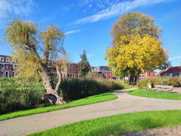 istock Walking path in a public park in autumn 2181967202