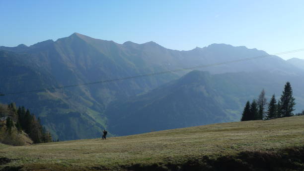 istock A sunny autumn walk in the austrian mountains 2181971599