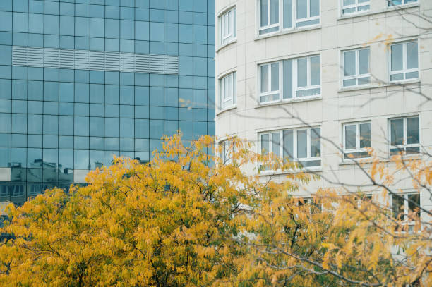 Residential and office building in a city with trees in autumn colors