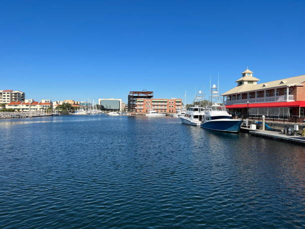 istock Palafox Pier and Marina 2181977224