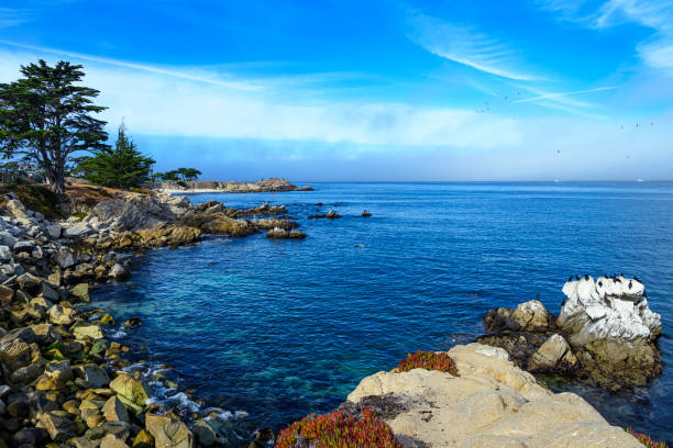 istock Rocky Pacific Grove Seascape 2181978006