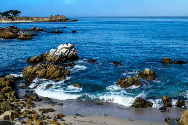 istock Rocky Pacific Grove Seascape 2181978053