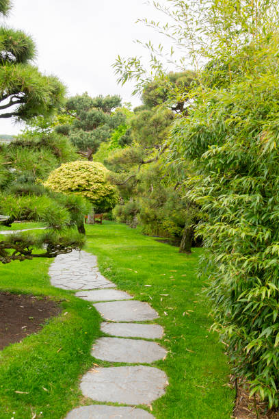 Lawn-lined stone path through wonderful garden