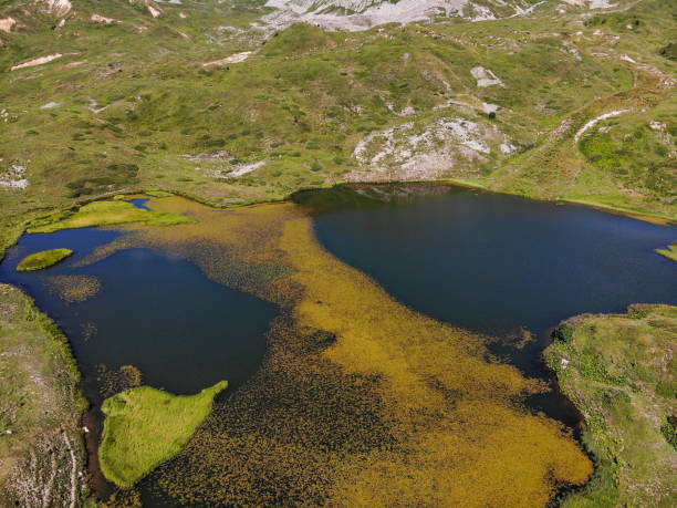 istock Autumn Glory: Yellow Leaves Reflecting on a Mountain Lake 2181980308