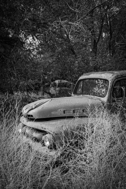 istock Truck and Cab in the Woods 2181980309