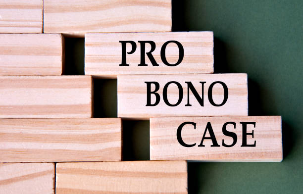 istock PRO BONO CASE - words on wooden blocks on dark green background 2181984749
