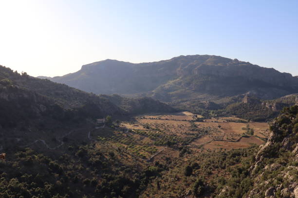 istock Panoramic View of a Meadow from Lluc, Mallorca, Spain 2181987764
