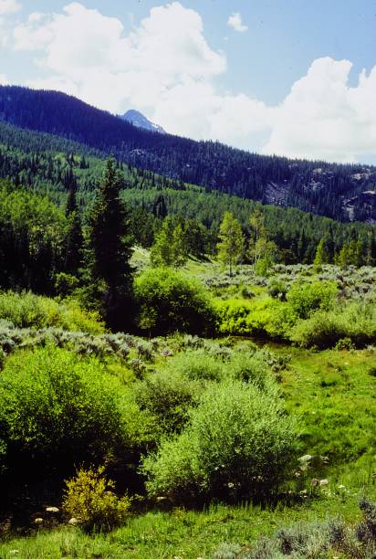 Lower Cataract Lake, Elliot Ridge and North Gore Range Trail Gore Range Eagles Nest Wilderness White River National Forest Colorado Rocky Mountains September 1983