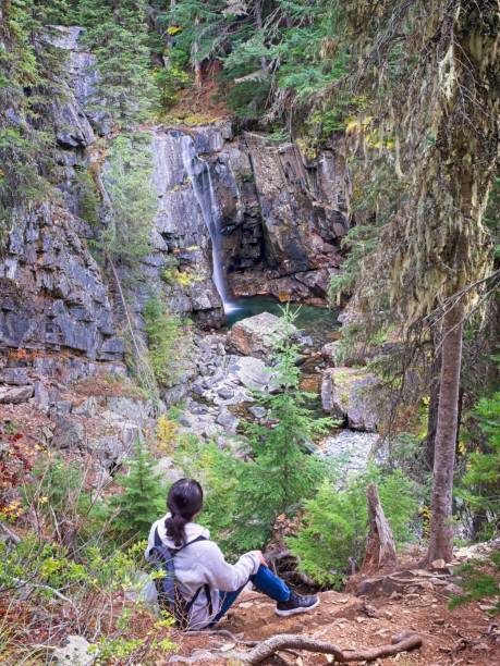 istock Woman looking down at Char Falls in Idaho. 2181988916