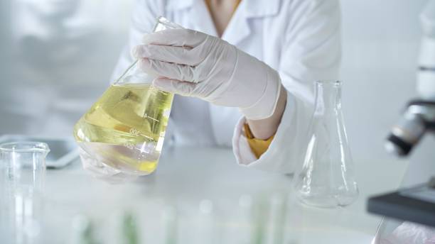 istock A scientist, wearing a lab coat and white protective gloves, is holding a yellow oily liquid inside beaker in laboratory setting, close up. Medicine and science concept 2181991584