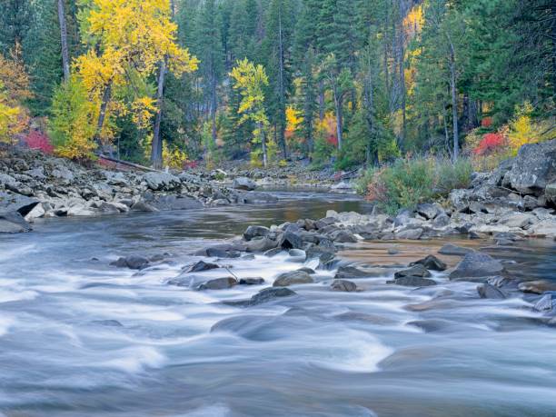 istock Swift moving water on the Wenatchee River. 2181991743