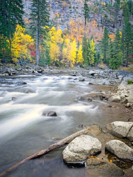 istock The scenic Wenatchee River in autumn. 2181991745