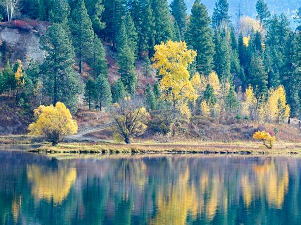 istock Autumn's yellow colors reflecting off the calm river. 2181991775