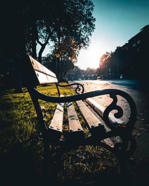 istock This image captures a serene urban scene during golden hour, featuring an empty park bench in the foreground. 2181995308
