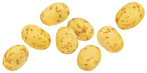 istock Peeled early potatoes isolated on white background 2182008151