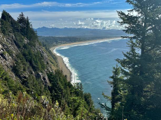 istock Overlook from forest into the sea 2182012520