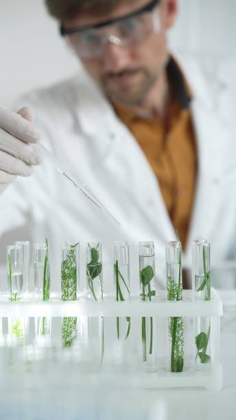 istock Man scientist wearing a lab coat, white gloves and protective glasses, is dripping liquid from a pipette into a test tube with a green plant inside, vertical close up view. Science and medicine 2182014883