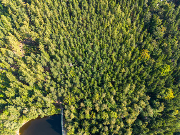 istock Dam on a mountain river, view from above, Karpacz, Poland. 2182016571