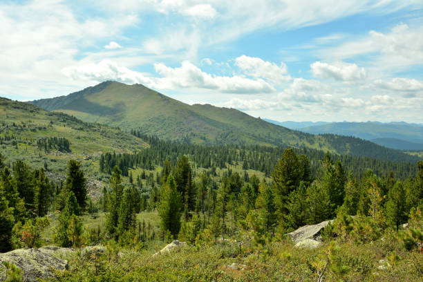istock Overgrown with coniferous forest, a gentle slope of a high mountain range under a summer cloudy sky. 2182023701