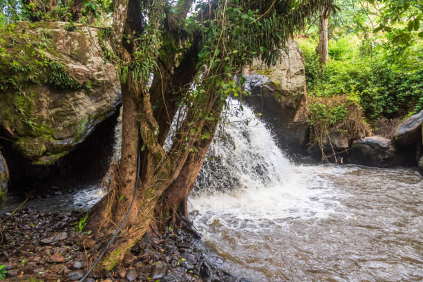 istock Near Africas rift valley 2182024233