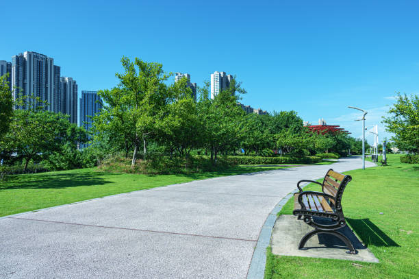 istock Curved footpath through the beautiful city park 2182038145