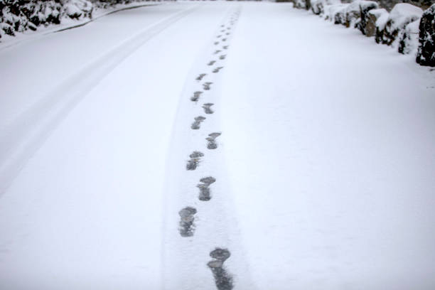 This is what footprints look like on a snowy road.