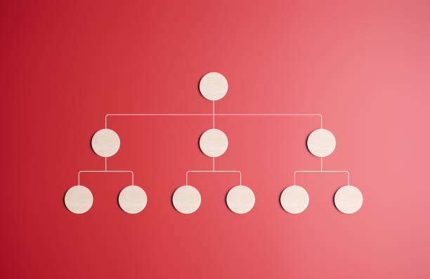 Business and employees hierarchy table. Organization chart, company leveling map, or organigram. Wooden labels on a red background with a structure tree diagram. Human resources career path.