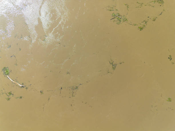 istock Mudflow of water in the Oder River of brown color. Poland. View from above. Background. 2182052245