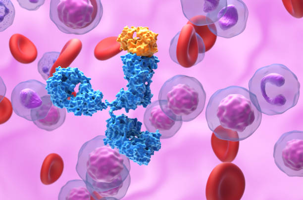 Monoclonal antibody (mAb) therapy - 3d illustration closeup view stock photo