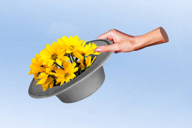 Composite trend artwork 3D sketch image collage of bodyless hand arm hold headwear hat contain yellow color daisy flower spring bouquet.