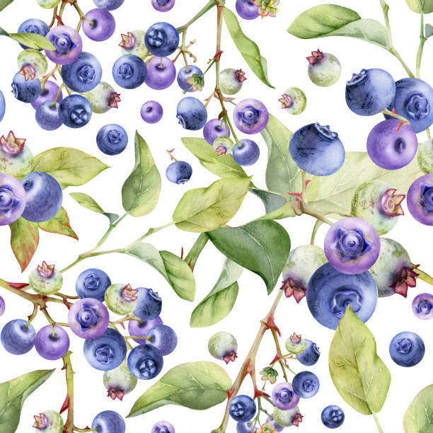 istock Blueberry blackberry with green leaves, hand drawn in watercolor, forest berry in group clusters on branches. Seamless banner garland illustration, for restaurant, cafe menu, wedding, farmers market 2182068032