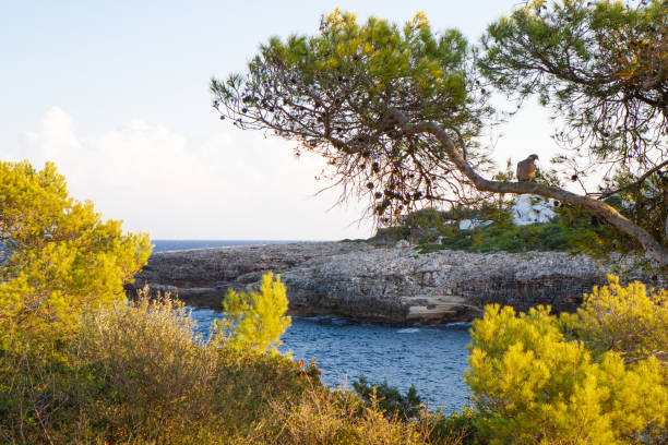 horizon on a beautiful seascape from a rocky shore