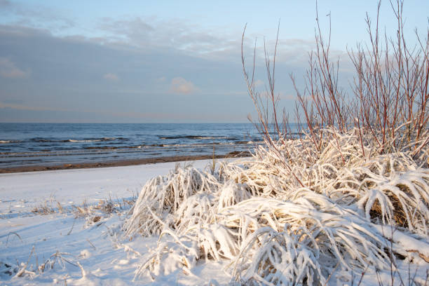 Baltic sea shore covered with snow at Winter in Latvia