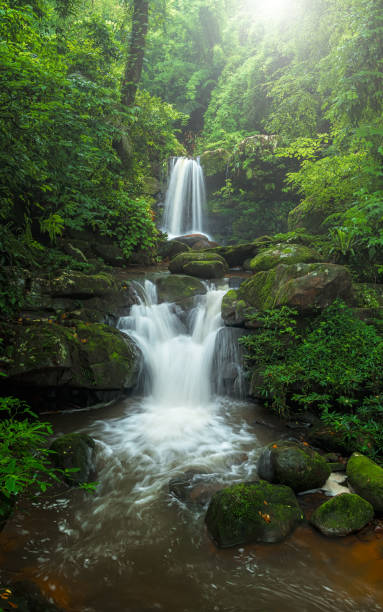 Beautiful deep forest waterfall in Thailand. nature background.