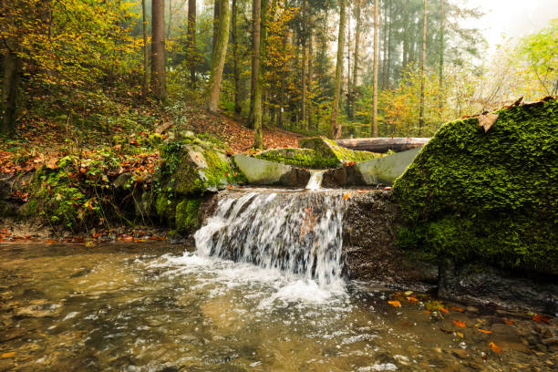 Small waterfall in a forest in Europe. Beautiful, cloudy autumn day, low angle view, small water stream, no people.